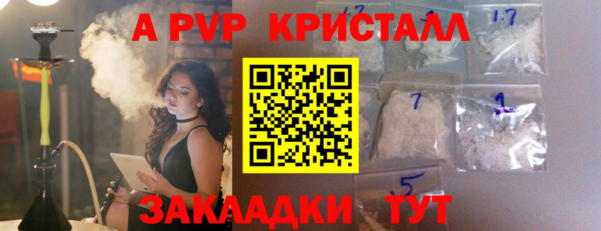 Альфа ПВП СК КРИС  Alpha PVP  A PVP СК  Надым  Вход с VPN 