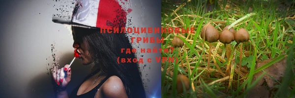 ECSTASY Медвежьегорск