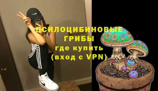 мескалин Мегион