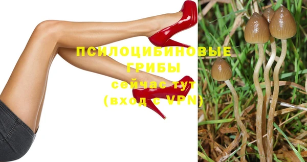 прущий лед Магас