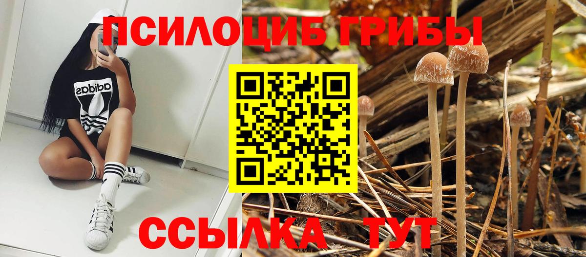 Галлюциногенные грибы Magic Shrooms  Вход с VPN  Надым 